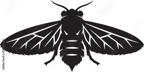 Black moth icon vector