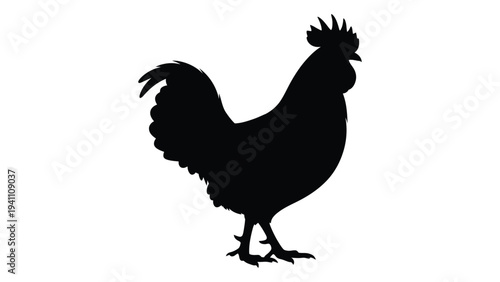 A black silhouette of a rooster standing on a surface