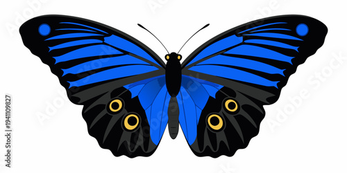 A vibrant blue butterfly with black markings is displayed front and center