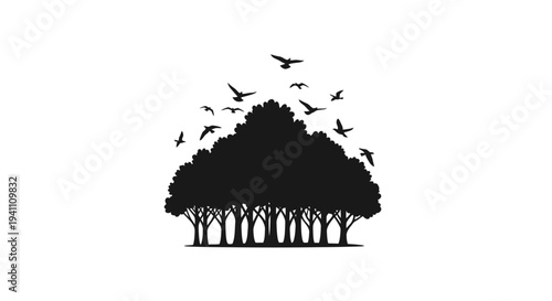 A flock of birds flies above a dense tree line silhouette