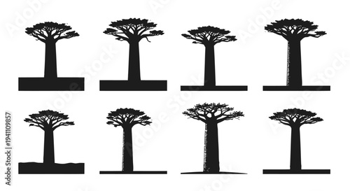 Six baobab tree designs with cast shadows a striking silhouette