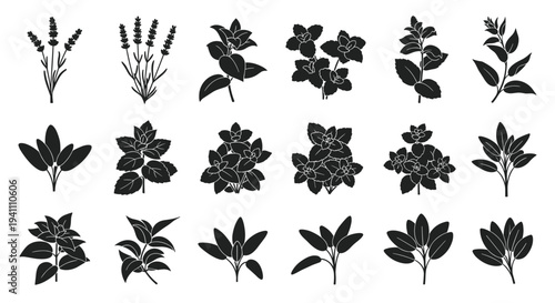 Collection of various black leaf silhouettes for design and decoration purposes easily customizable, Generative AI.