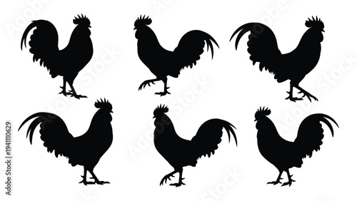 Six black roosters standing in two rows