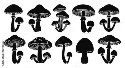 Collection of various mushroom silhouettes with different shapes and sizes, Generative AI.