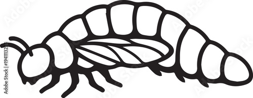 Vector illustration of a black insect bug