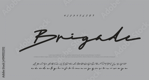 elegant handwritten font that captures a realistic signature style, great for personal logos and stationery. 