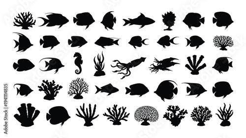A collection of various sea creatures and coral