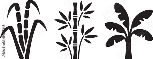 tropical plants sugarcane bamboo and banana leaves clean silhouette vector illustrations