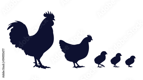 A rooster and hens with chicks walking in a line