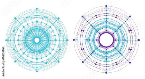 Two circular network diagrams with interconnected nodes and radiating lines