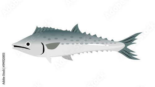 シンプルでかわいい鰆（サワラ）のイラスト　食べ物・魚のベクター素材