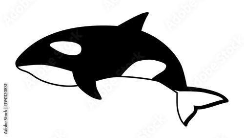 シンプルでかわいいシャチのイラスト　海の生き物のベクター素材
