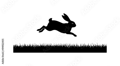 Dynamic Leaping Hare in Grass
