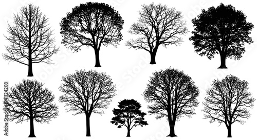 Collection of bare deciduous tree silhouettes on white background