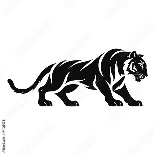 vector illustration of a tiger