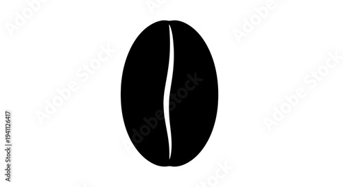 Single coffee bean isolated.