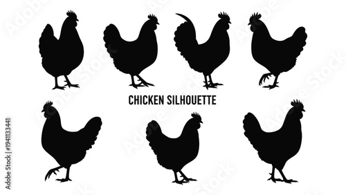 A group of chickens standing together