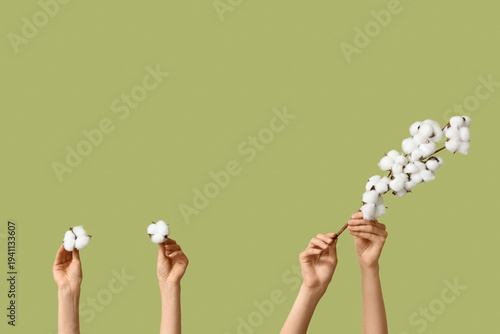 Female hands with cotton fl...