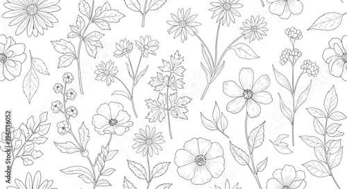 Delicate black and white line art pattern features a variety of field flowers and botanical stems in a seamless design.