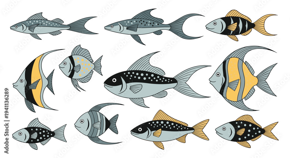 Fototapeta premium Educational illustration presents a variety of tropical fish species with unique patterns and colors in a flat style.