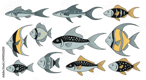 Educational illustration presents a variety of tropical fish species with unique patterns and colors in a flat style.