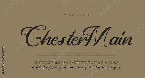 Elegant Script Font Alphabet Typography 