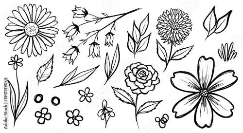 A detailed illustration of various flowers and leaves arranged artistically.