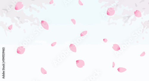 Falling Cherry Blossom Petals on a Soft White Background