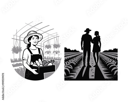 Farmers harvesting fresh vegetables in a greenhouse and walking through cultivated fields together