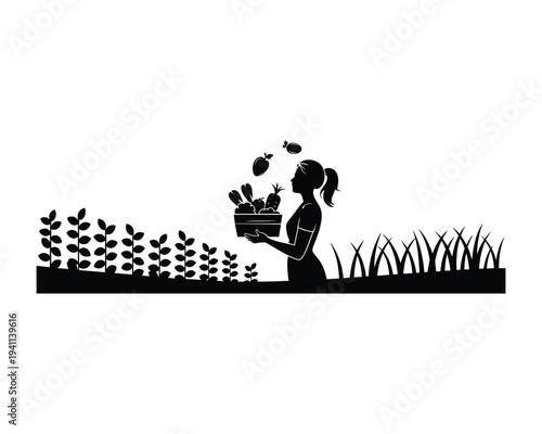 Silhouette of a woman harvesting fresh vegetables in a wooden crate from a garden scene