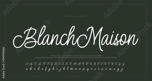Script Brush Font Type Font lettering handwritten 