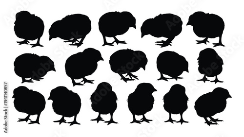 A group of black chicken silhouettes standing in rows