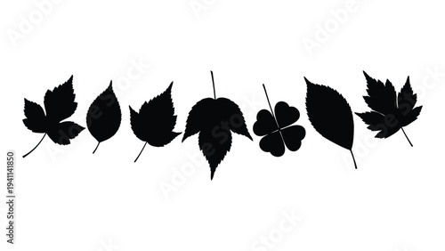 A collection of seven different leaf silhouettes
