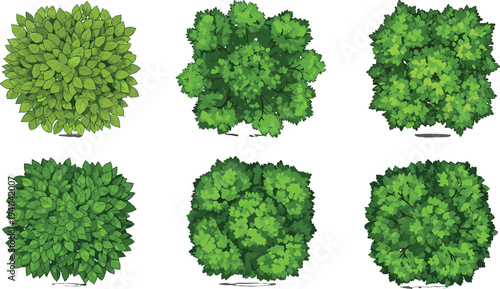 Collection of top view garden shrubs and green bush plants vector illustrations for landscape architecture and site plan design projects