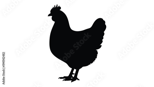 A black silhouette of a chicken standing on a surface