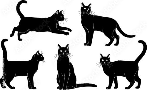 cat silhouette collection, domestic feline pet poses set black cat icons isolated vector illustration bundle