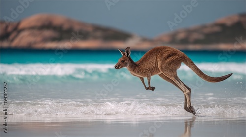 Kangaroo hopping mid air on sandy beach near ocean surf at lucky bay, cape le grand national park, esperance, western australia, capturing wild nature, coastal landscape, and dynamic motion in natural