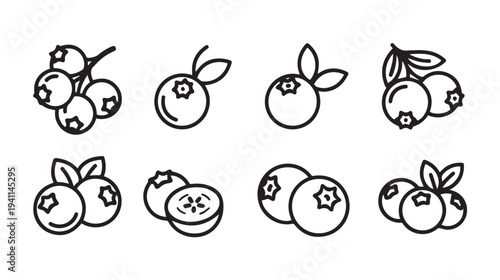 Blueberry Icons Collection: Whole and Halved Berries with Leaves Vector Line Art