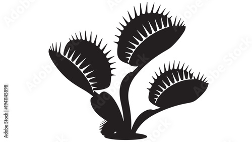 Venus flytrap silhouette with sharp teeth-like cilia on open traps, a carnivorous plant graphic. featuring insect trap, black and white, icon with