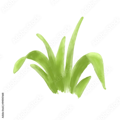 Grass