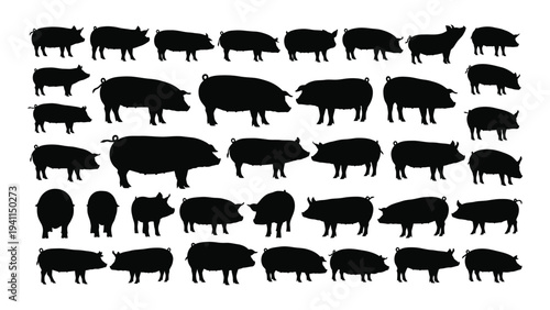 A collection of black silhouettes of pigs