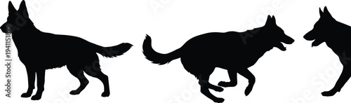 Black silhouettes of German Shepherd dogs standing, running, and playing in profile view for canine breed, working dog, and pet concept.