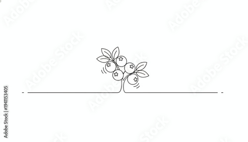 Minimalist continuous line art drawing of a berry branch with fresh leaves on a white background