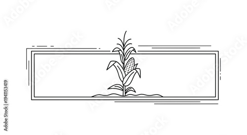 Elegant line art of a solitary corn plant with a mature cob nestled within a sleek rectangular