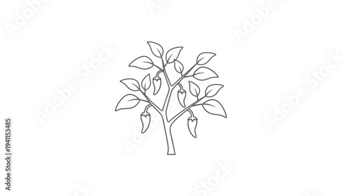 Minimalist outline drawing of a vibrant chili pepper plant with growing fruits and fresh green