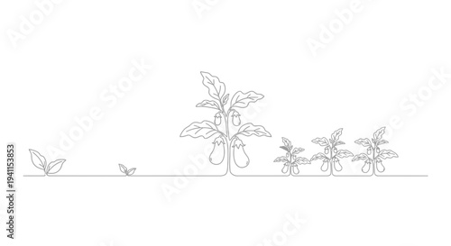 Minimalist One-Line Illustration Depicting the Lifecycle and Cultivation of Eggplant Plants