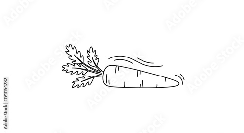 Freshly harvested organic carrot with vibrant green leaves minimalist line art vector illustration