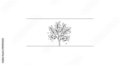 Minimalist blueberry bush line art illustration with ripe berries and fresh leaves, botanical