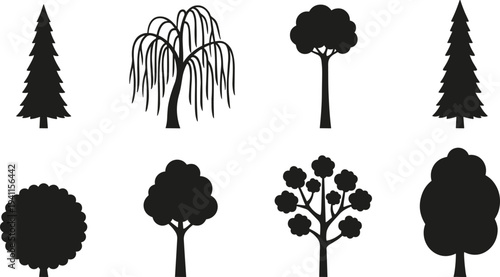 Collection of tree silhouettes including pine, willow and deciduous forest trees botanical nature vector illustration isolated set