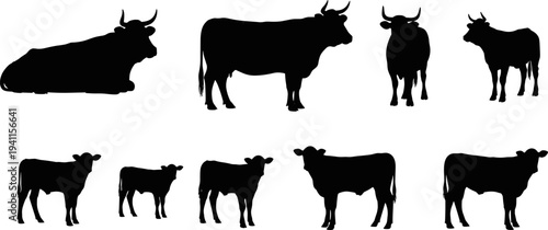 cow silhouette collection, cattle and calf farm animal set, livestock farming icons isolated black vector illustration bundle